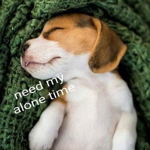 Meet your Posher, Fay